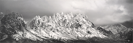 Steve Gollery Organ Mountains Black & White Gallery Wrap