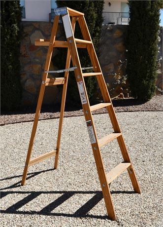 Davidson 6' Ladder