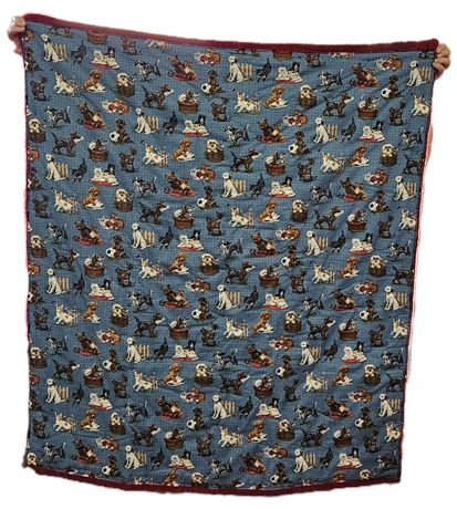 Dog and Cat Christmas Blanket