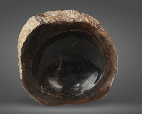 10" Petrified Wood Carved Bowl