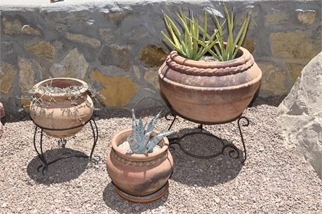 Terracotta Planters with Live Plants