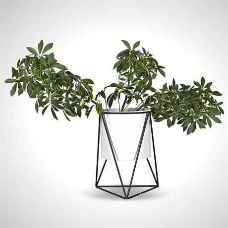 Rescue Me! Variegated Schefflera Arboricola in Modern Metal Stand — 20"