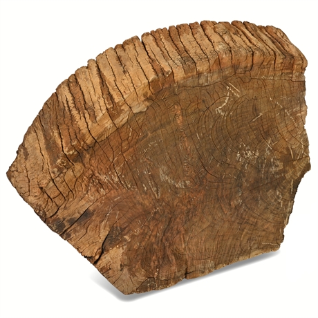 28"x31" Wood Slab
