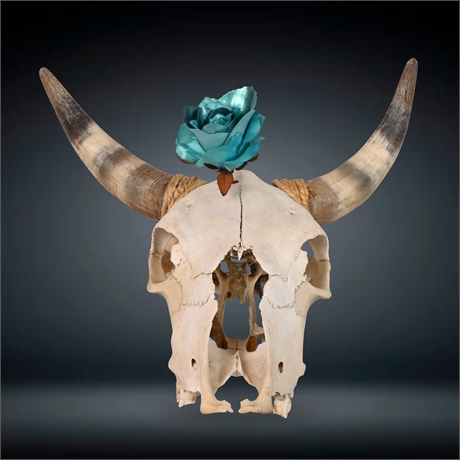 Bull Skull with Rose