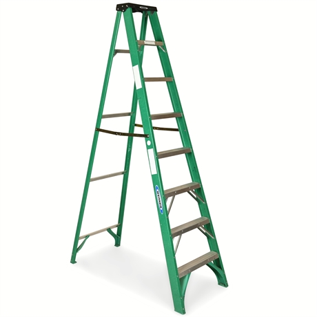 Werner® 8 ft FiberGlass Ladder