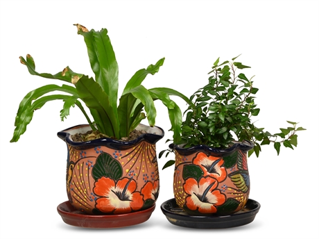 Pair Hand Painted Talavera Pots with Live Plants