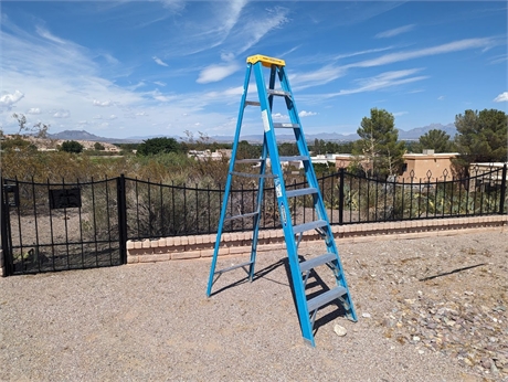 Werner 8 ft Fiberglass Ladder