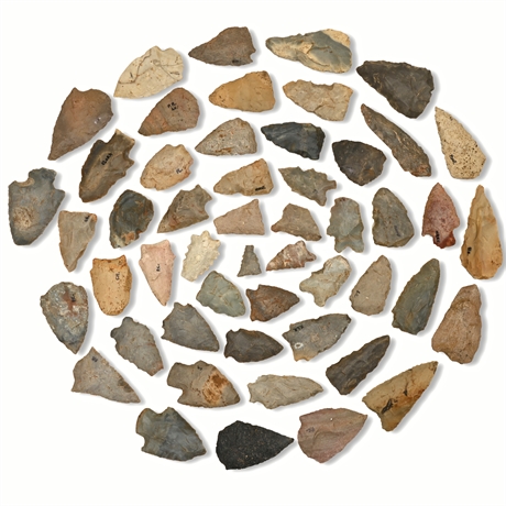 Benton Broad Stem Arrowheads