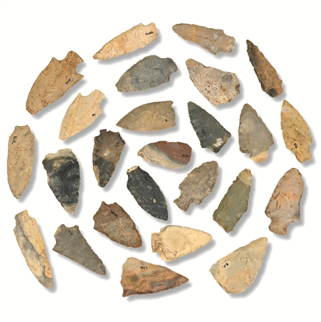 Benton Broad Stem Arrowheads