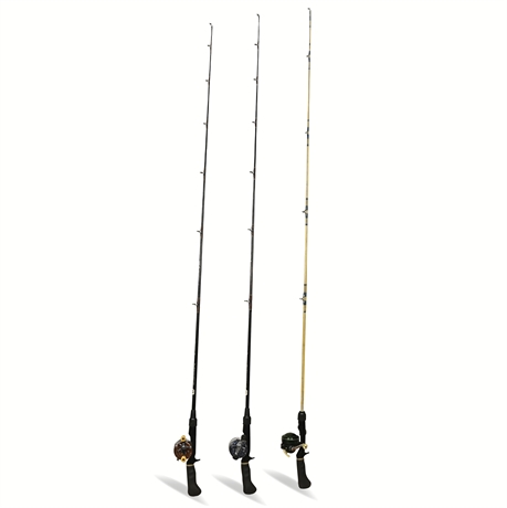 Fishing Rods & Reels