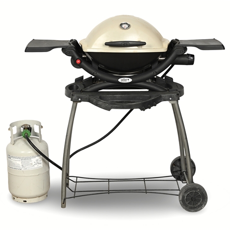 Weber® Q2200 Propane Gas BBQ Grill