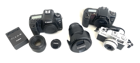 Canon Camera Lot