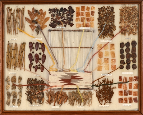 Navajo Vegetal Dye Chart — Oak Frame UV Glass, 16 Specimens, Loom