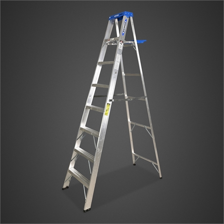 Werner 368 8-Foot Aluminum Type I Step Ladder, 250 lb Capacity