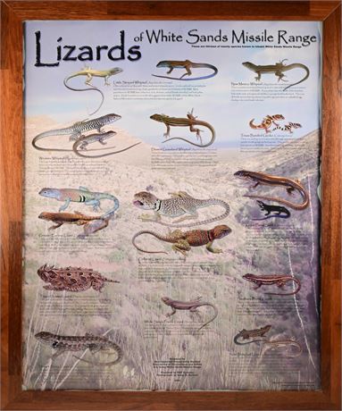 Lizards of White Sands