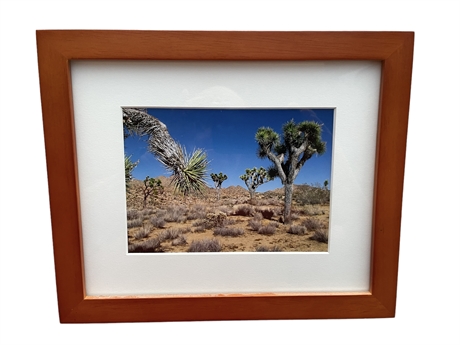 Yucca Paradise Framed Photo