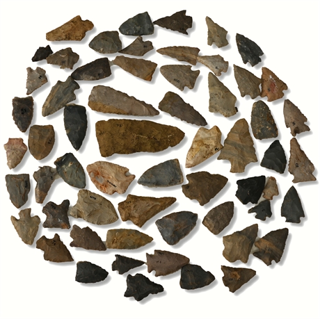 Benton Broad Stem Arrowheads