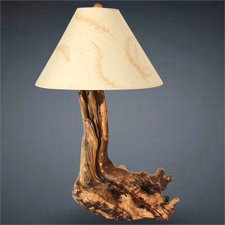 Driftwood Burl Lamp