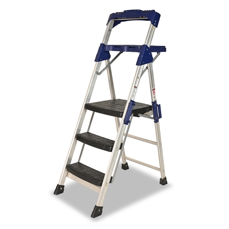 Werner 3-Foot Step Project Ladder