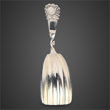 Sterling Silver Peony by Whiting Tea Caddy Spoon No. 26, 3 7/8", 14.87g