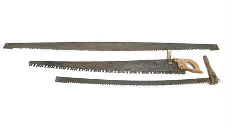 Antique Saw Collection