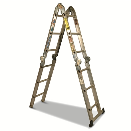 Werner Job-Master 12' Commercial Ladder