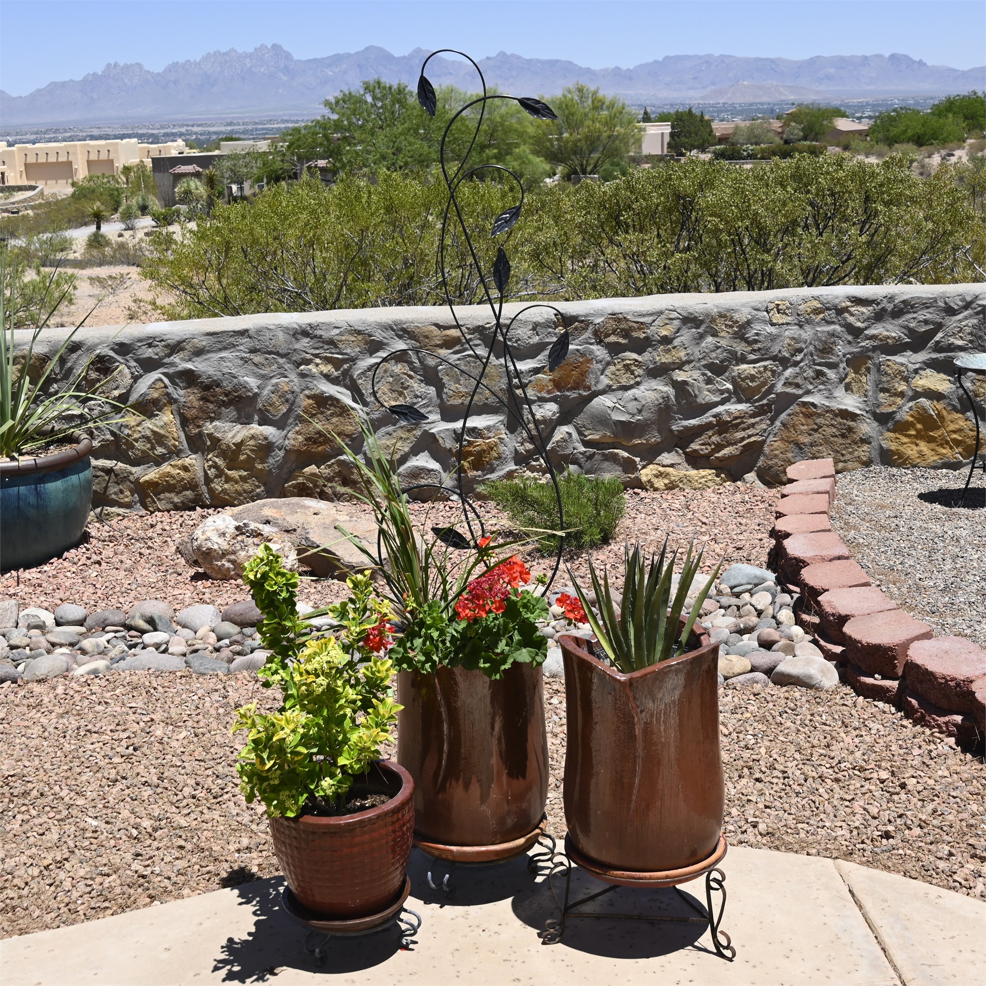 Nm Auctions Innovative Auction Liquidation And Estate Sales Potted Plants 2785