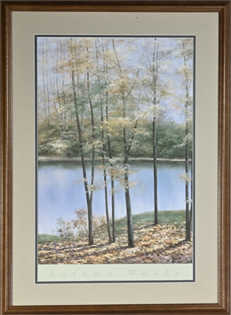 Framed Print 'Autumn Woods'