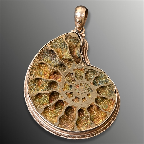 Ammonite Fossil & Sterling Silver Shell Pendant