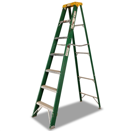 Davidson 7' Fiberglass Ladder