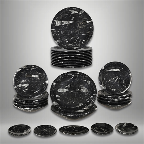 Orthoceras Fossil Stone Plate & Bowl Set – 29 Pc, Moroccan Black Limestone