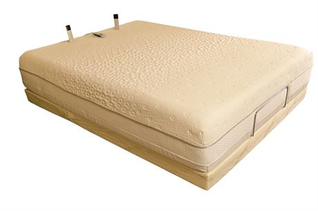 Tempur Pedic Tempur-Choice Adjustable Queen Bed