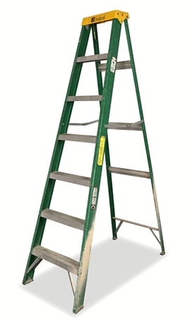 Davidson 7 ft Fiberglass Step Ladder, Type II 225 lb