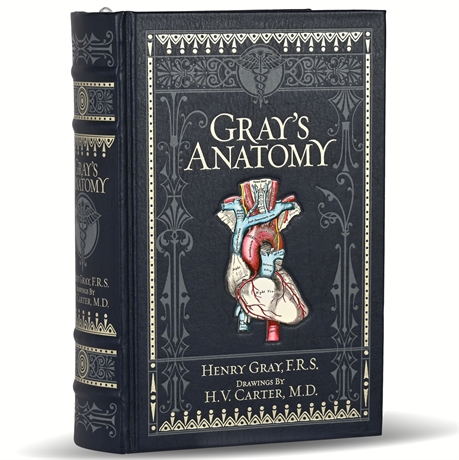 Gray's Anatomy, Henry Gray, Barnes & Noble Classic