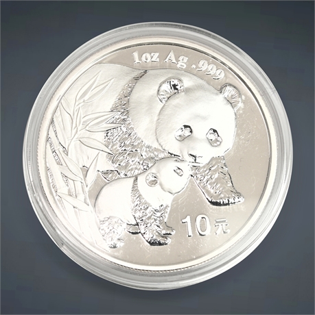2004 10 Yuan Silver Coin (1 oz)