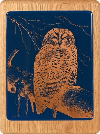 D.A. Zimmerman 'Spotted Owl' Etched Copper Image