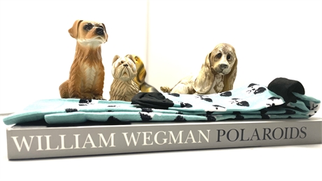 William Wegman POLAROIDS Book with Dog Socks