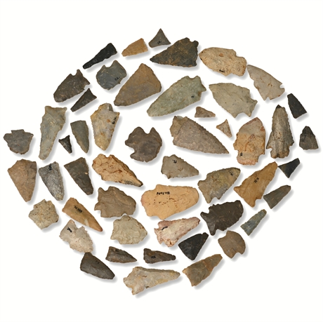 Benton Broad Stem Arrowheads