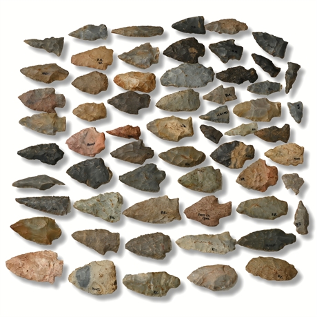 Benton Broad Stem Arrowheads