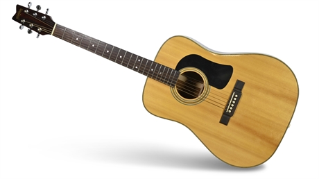Washburn D-13/S Acoustic Guitar